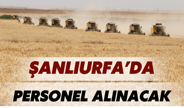 306 Personel Alınacak! En Çok Kontenjan Şanlıurfa’ya Ayrıldı