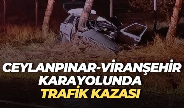 Ceylanpınar-Viranşehir Karayolunda Trafik Kazası