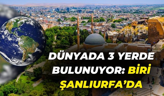Dünyada 3 Yerde Bulunuyor: Şanlıurfa’daki Hayran Bırakan Yapılar