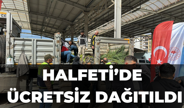 Halfeti’de Ücretsiz Dağıtıldı