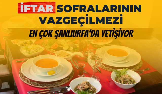 İftar Sofralarının Vazgeçilmezi! En Çok Şanlıurfa’da Yetişiyor