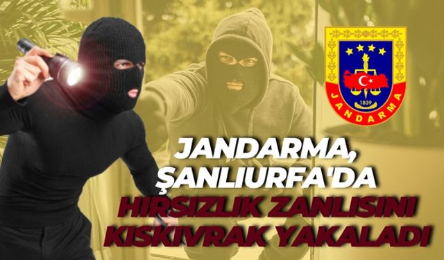 Şanlıurfa'da Jandarma Hırsızlık Zanlısını 27 Gün Sonra Yakaladı