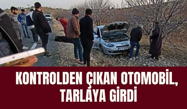 Şanlıurfa’da Kontrolden Çıkan Otomobil, Tarlaya Girdi