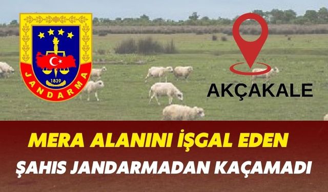 Şanlıurfa’da Mera Alanını İşgal Eden Şahıs Jandarmadan Kaçamadı