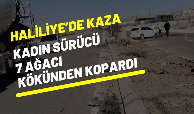 Şanlıurfa Haliliye’de Kaza: 7 Ağacı Kökünden Koparan Kadın Sürücü Yaralandı!