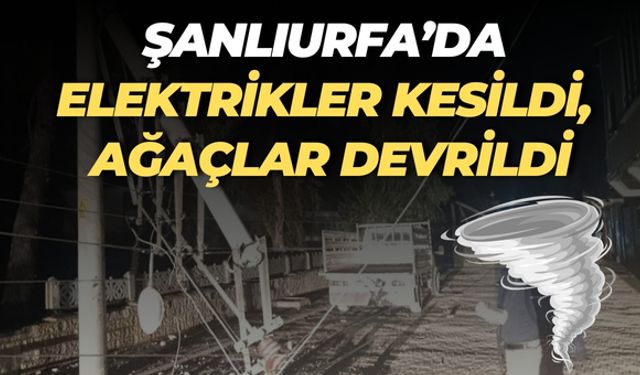 Şanlıurfa’da Fırtına Alarmı: Elektrik Kesildi, Ağaçlar Devrildi