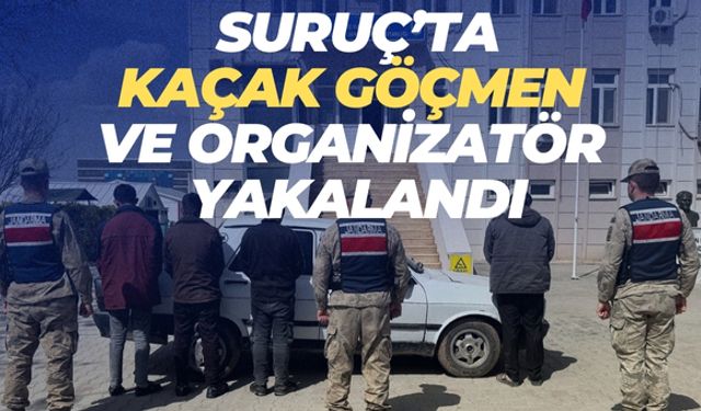 Şanlıurfa'nın Suruç İlçesinde Kaçak Göçmen ve Organizatör Yakalandı