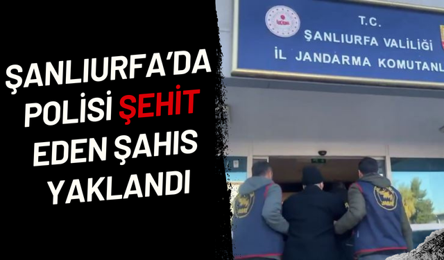 Şanlıurfa'da Polisi Şehit Eden Şahıs Yakalandı!