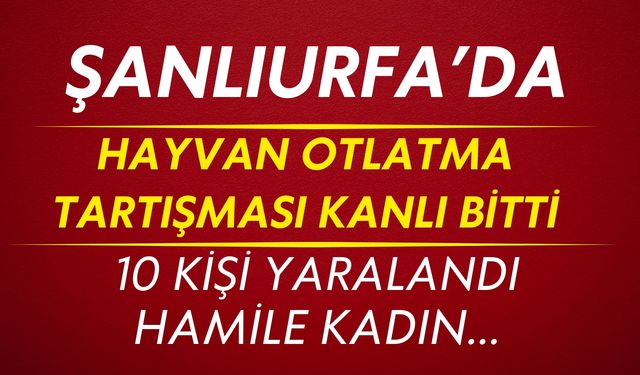 Viranşehir’de Hayvan Otlatma Tartışması Kanlı Bitti: Hamile Kadın Ağır Yaralandı!