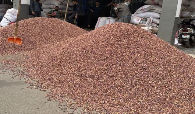 Şanlıurfa’da Fıstık Bakın Kaç Liradan Satıldı!