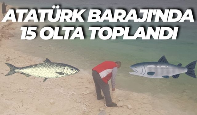 Karaköprü'de Av Yasağına Uymayanlara Geçit Yok