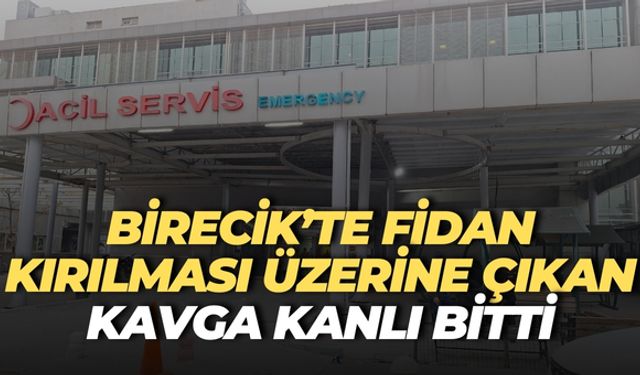 Şanlıurfa Birecik’te Fidan Kırılması Üzerine Çıkan Kavga Kanlı Bitti