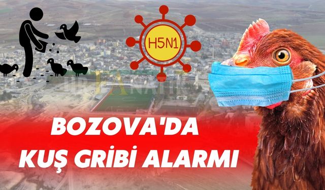 Bozova'da Kuş Gribi Alarmı! Canlı Kanatlı Hayvan Satışı Yasaklandı
