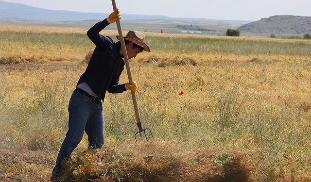 Urfalılar dikkat: Ekilirse en hızlı ve sağlıklı yetişecek ürünler açıklandı
