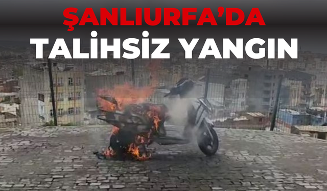 Bu Kez Adres Siverek! Park Halinde Yanmaya Başladı