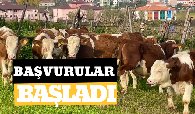 Şanlıurfalılar dikkat! Başvurular Başladı