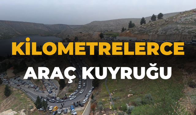 Şanlıurfa Halfeti’de Kilometrelerce Araç Kuyruğu
