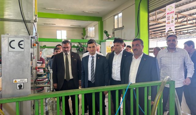 Kaymakam Yeşilyurt, Bozova'nın Tarımsal Yatırımlarını İnceledi