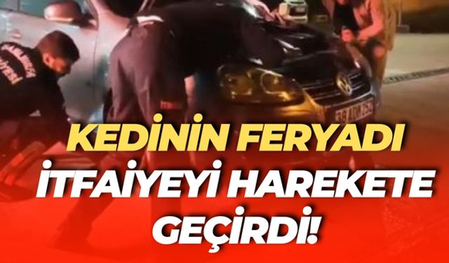 Karaköprü’de Kedinin Feryadı İtfaiyeyi Harekete Geçirdi!