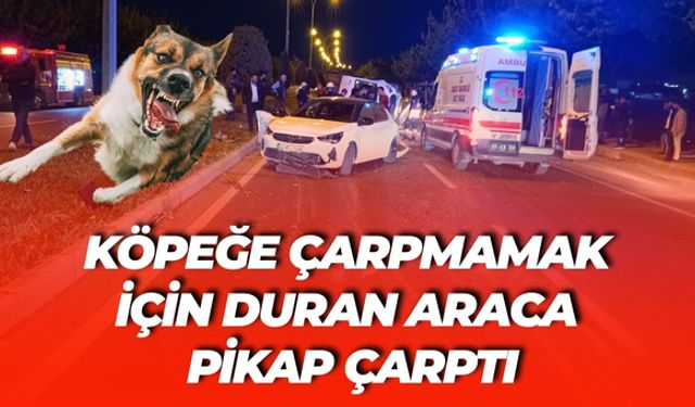 Şanlıurfa’da Köpeğe Çarpmamak İçin Duran Araca Pikap Çarptı: 3 Yaralı