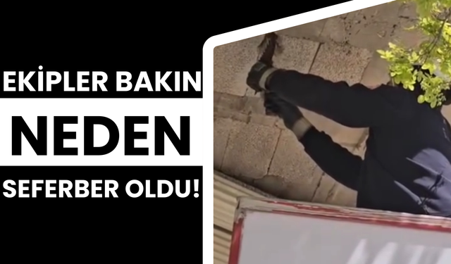 Suruç’ta İtfaiye Ekipleri Bakın Neden Seferber Oldu...
