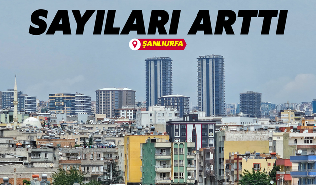 Şanlıurfa’daki Veriler Açıklandı! Sayıları Arttı!