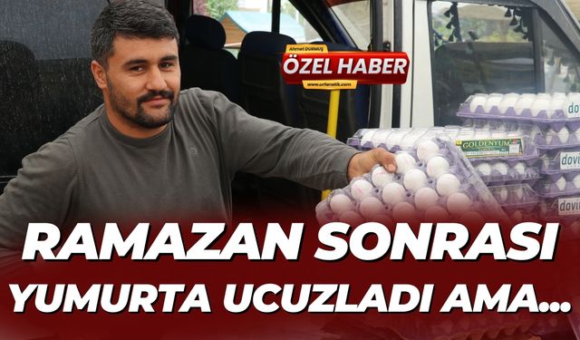 Ramazan Sonrası Yumurta Ucuzladı Ama...