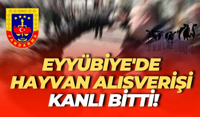 Şanlıurfa Eyyübiye'de Hayvan Alışverişi Kanlı Bitti!