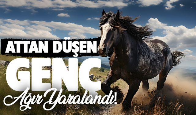 Şanlıurfa Halfeti’de Attan Düşen Genç Ağır Yaralandı!