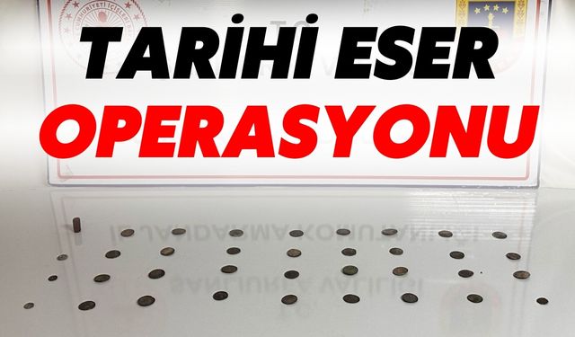 Şanlıurfa Siverek’te Tarihi Eser Operasyonu