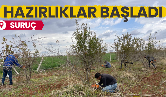 Şanlıurfa’da Suruç’ta Hazırlıklar Başladı
