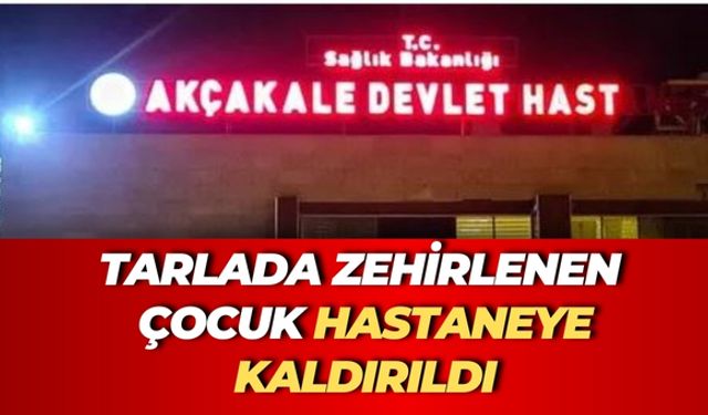 Akçakale'de Tarlada Zehirlenen Çocuk Hastaneye Kaldırıldı