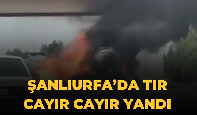 Suruç-Şanlıurfa Karayolunda Tır Alevlere Teslim Oldu!