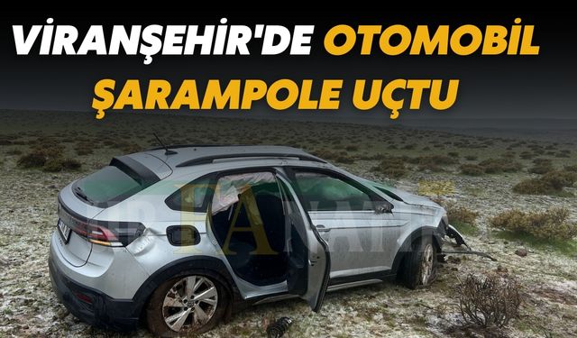 Viranşehir'de Otomobil Şarampole Uçtu, Sürücü Yaralandı