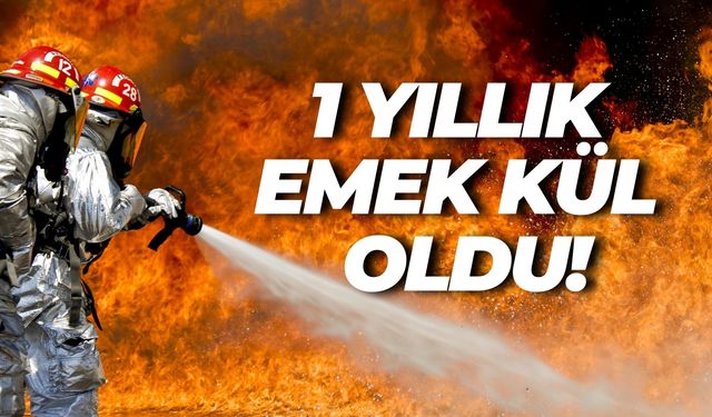 Bir Kıvılcım, Şanlıurfa’da 1 Yıllık Emeği Yok Etti!