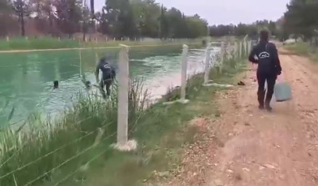 Şanlıurfa’da Sulama Kanalı Yine Can mı Alacak? Dalgıçlar Harekete Geçti