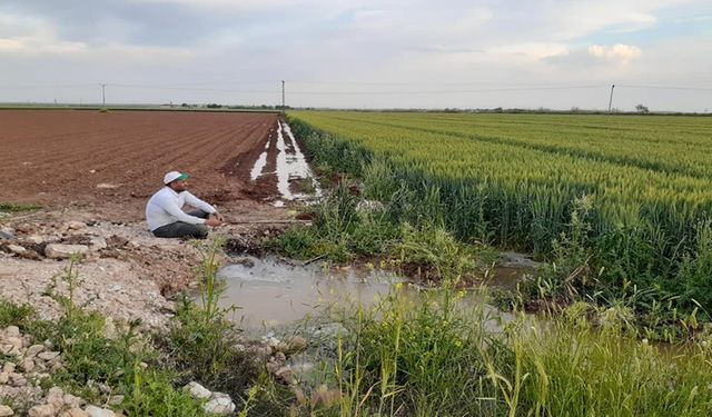 Şanlıurfa’da EBYS ve Bilgi Güvenliği Eğitimi Verildi
