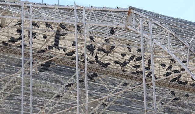 Şanlıurfa’da Doğallık Teşvik Ediliyor