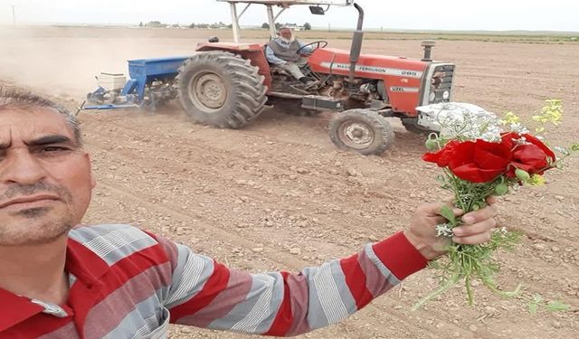 Şanlıurfa’da Anlamlı 1 Mayıs Kutlaması: Emek ve Toprak İç İçe