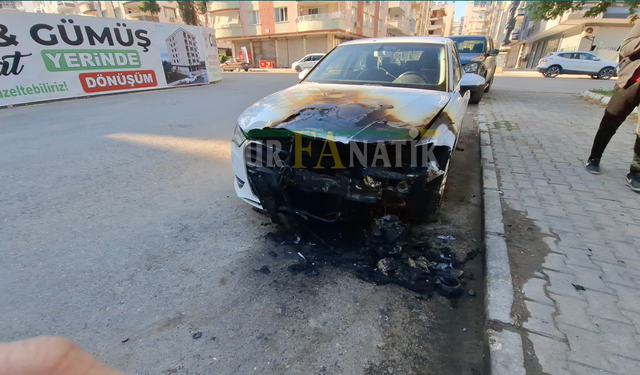 Şanlıurfa Birecik'te Gece Yarısı Korku Dolu Anlar