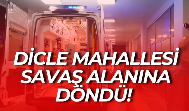 Şanlıurfa’nın Siverek İlçesinde Komşu Kavgası Kanlı Bitti: Yaralılar Var