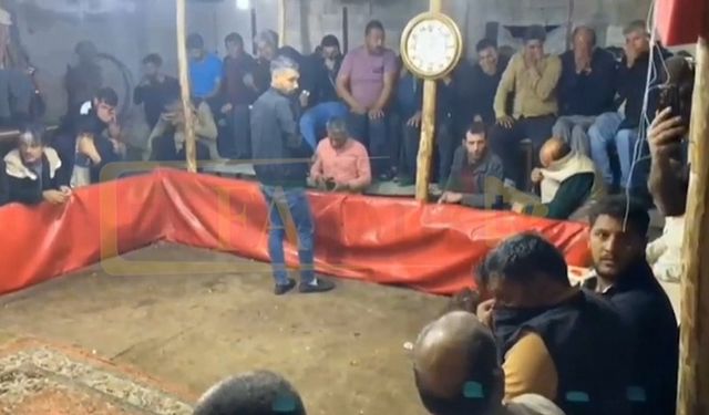 Şanlıurfa’da Horoz Dövüşüne Jandarma Baskını: Bakın Ne Kadar Ceza Kesildi