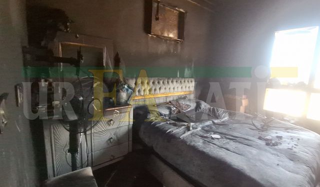 Şanlıurfa Birecik’te Korkutan Yangın