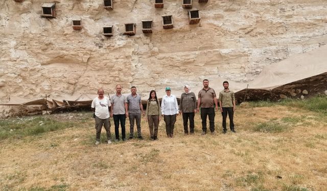 Şanlıurfa’da Kelaynak Yavruları İçin Fileli Koruma!