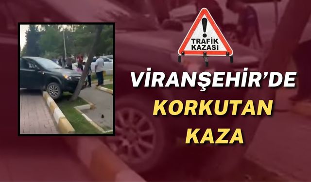 Viranşehir’de Korkutan Kaza: Parktaki Ağaca Çarparak Durabildi
