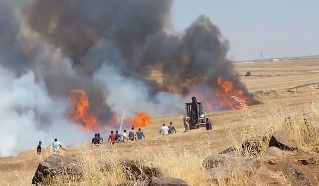 Bir Kıvılcım Bin Dönüm Tarlayı Yaktı! Viranşehir Alev Alev