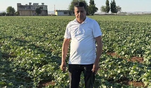 Şanlıurfa’da Binlerce Yıllık Lezzet Tezgaha İniyor!