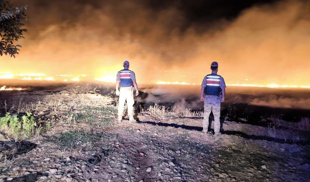 Şanlıurfa’da Anız Yangınlarına Karşı Jandarma Teyakkuzda