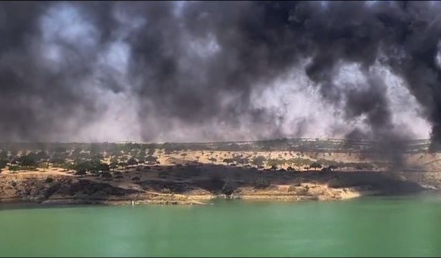 Şanlıurfa'daki Baraj'da Yangın Paniği: Gökyüzünü Kara Dumanlar Kapladı