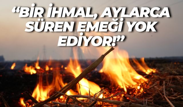 Hilvan Ziraat Odası’ndan Uyarı: İhmal, Emeği Yok Ediyor!